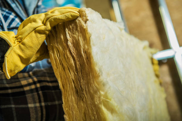 Best Insulation Maintenance and Repair in Parkville, MO