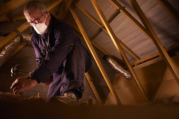 Best Specialized Insulation Services in Parkville, MO