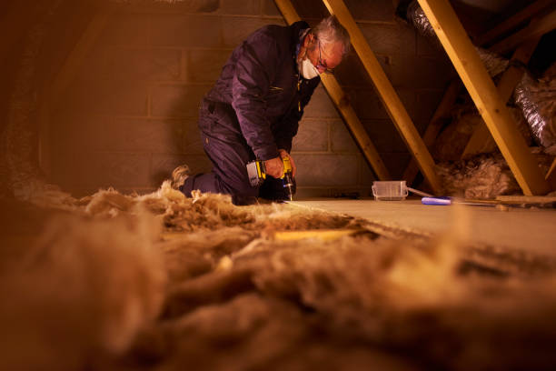 Best Insulation Maintenance and Repair in Parkville, MO